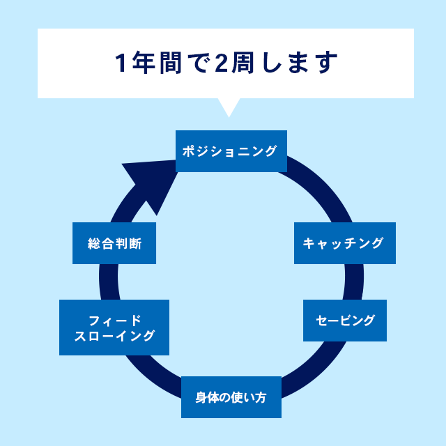 1年間で2周します